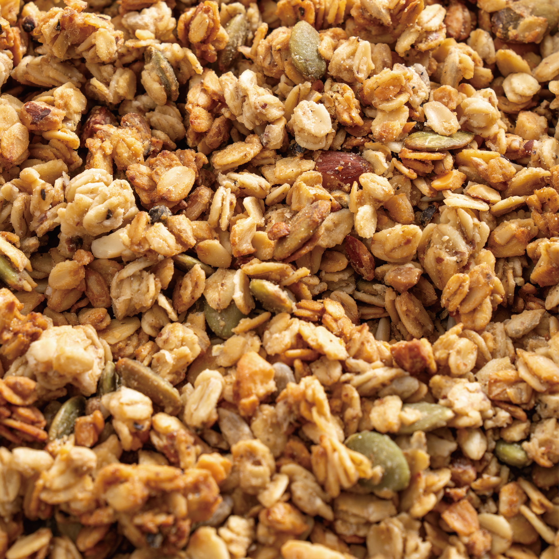ガーリックペッパー味のオーガニックグラノーラ